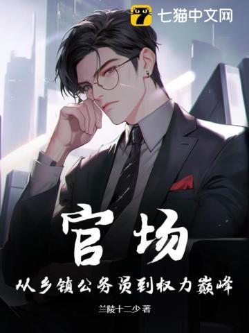 官场：从乡镇公务员到权力巅峰